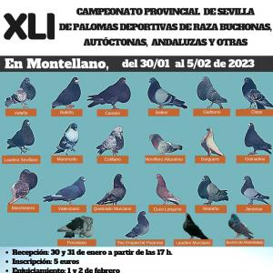 LXI Campeonato Provincial de Sevilla de Palomas Deportivas