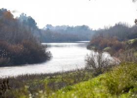Río Guadalquivir - Tramo medio 