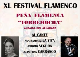 Festival Flamenco Peña Flamenca "Torremocha"