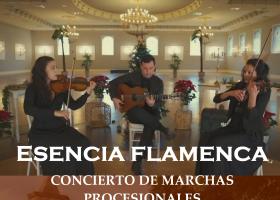 Concierto: Esencia Flamenca