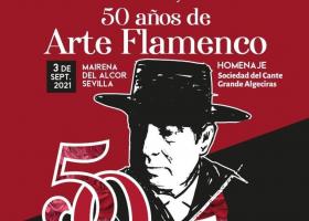 Espectáculo 50 Años de Arte Flamenco