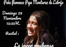 Flamenco: Consuelo Haldon