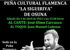 Flamenco: José Olmo Carrasco
