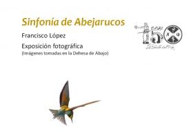 Exposición: Sinfonía de Abejarrucos