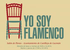Exposición: Yo soy Flamenco