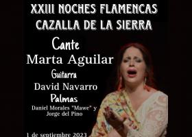 XXIII Noches Flamencas en Cazalla de la Sierra