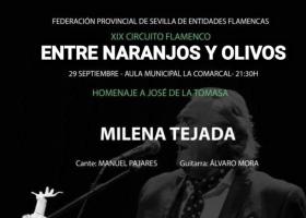XIX Circuito Flamenco Entre Naranjos y Olivos