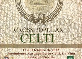 Vi Cross Popular Celti