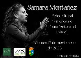 Flamenco: Samara Montañez