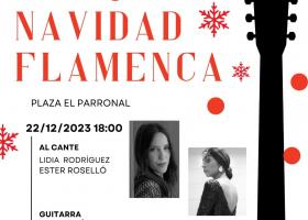 Navidad Flamenca en Paradas